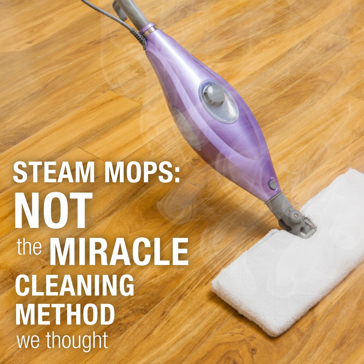 Steam_Mops_1