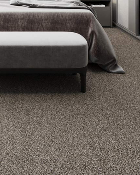 Best Carpet for your Home